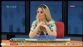 Veteriner Hekimim - Gözde Çetin Kasap & Kutay Yıldız - 24 Mayıs 2018 - KRT TV