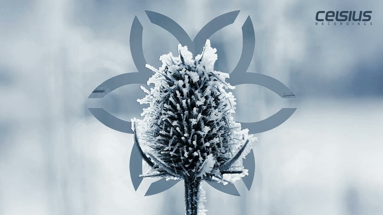 Maykors - Ground Effect