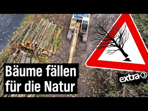 Realer Irrsinn: Guter Baum oder schlechter Baum? Ordnung schaffen in der Natur von Duisburg | extra