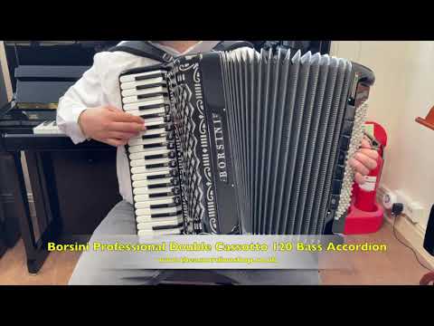 Borsini Professional Double Cassotto 120 Bass Accordion