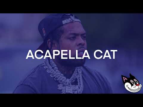 Westside Gunn feat. Your Old Droog - Vivian at the Art Basel Acapella 73 BPM - 4K Acapella Cat