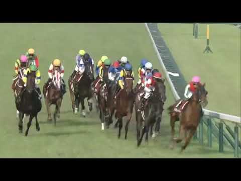 2021.05.30 Meguro Kinen (JPN) - Win Kiitos
