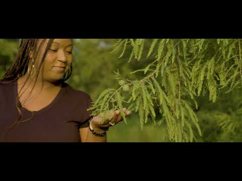 Promotional video thumbnail 1 for Kayla Boyce