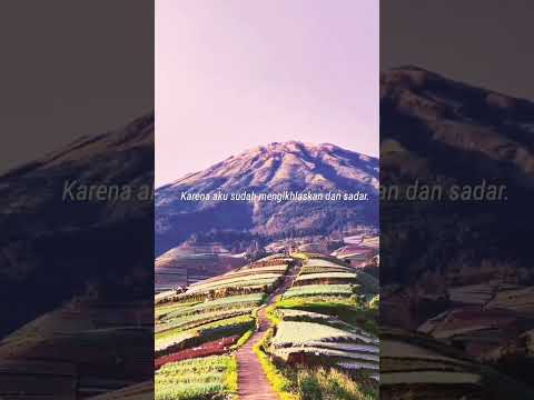 Luka yang Membahagiakan #gunungsumbing #alam #pemandangan #trending #videoshort