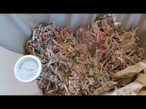 Composting Outdoors - Urban Worm Bag v2 Feeding - Day 86 - Checking on the Burrito Feeding