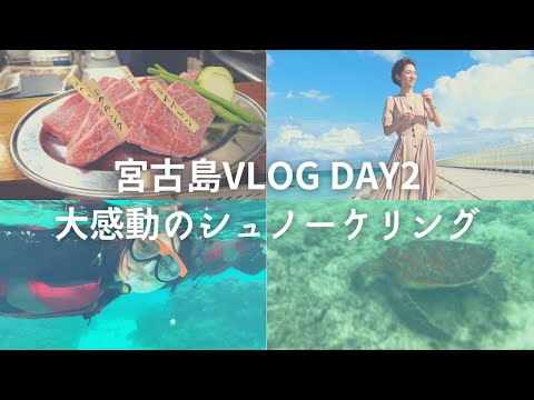 芸術・表現行動学科 【シギラベイサイドスイートアラマンダ宮古島vlog】宿泊レビュー！シギラビーチシュノーケリング！17end/宮古牛焼肉喜八で大感動の連続！