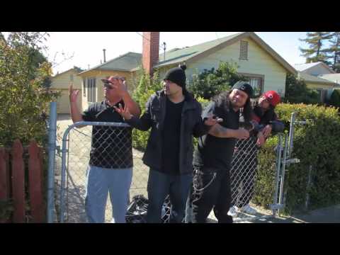 Zig Zag Bottles And Lighters