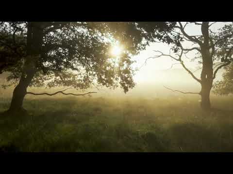 Beginnings I Judah Earl #music #cinematic #rest