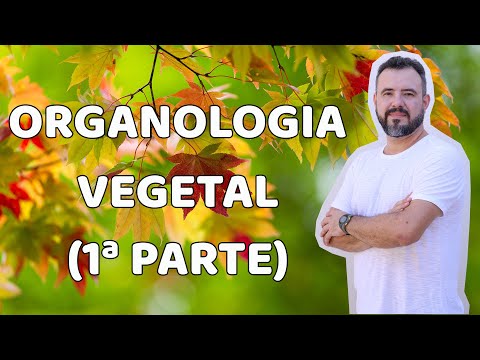 Organologia Vegetal - Raiz (1ª parte)