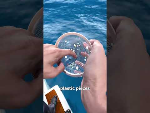 Where Ocean Plastic Actually Ends Up 😨