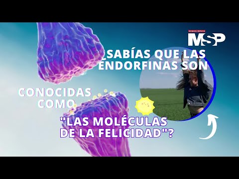 ¿Cómo funcionan las endorfinas? Las conocen como “moléculas de la felicidad” - #ExclusivoMSP