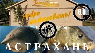Рыболовные базы астраханской области золотые пески