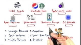 05 Types of Partners quicktime