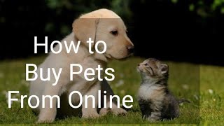 How to buy pets from online.