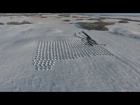 EDITED Nerbas Bros  Angus - Bale Graze Move Feb 9 2018 (4X SPEED)