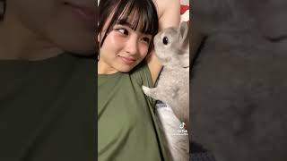 うさぎ、その位置変われ。#tiktok #tiktoker #かわいい #おすすめ #うさぎ #脇 #動物 #ちょいえろ