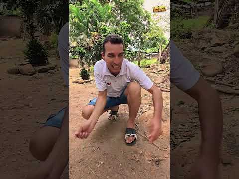 playing marbles #humor #comedy #shortvideo