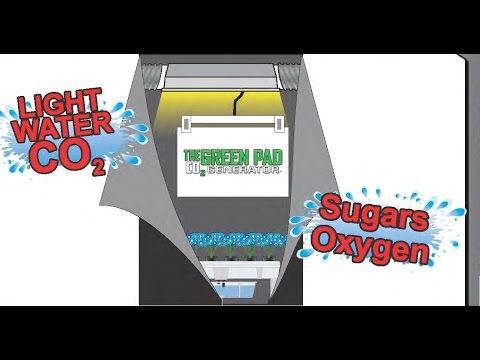 LIVE CO2 DEMO AT THE INDOOR GARDEN EXPO TACOMA WA 2014