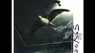 Surrender to Strangeness - Buck 65