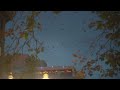 Specially-trained hawks being used to scare away roosting crows in downtown Portland