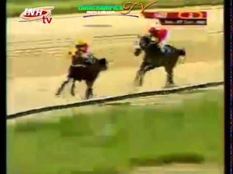 VALENCIA 2 CARRERA VIERNES 07 DE NOVIEMBRE DEL 2014