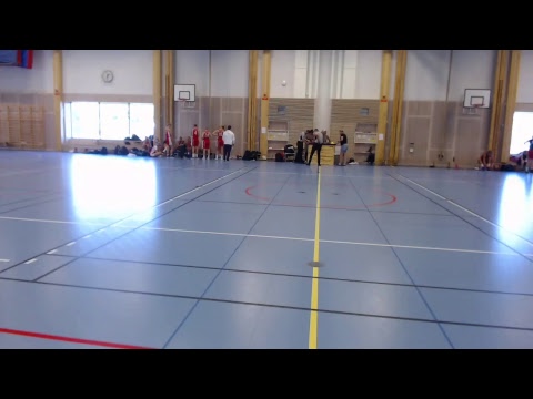 Viby Basket Dam - Husby