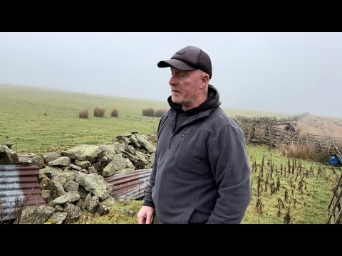 And so it begins .. New year New wall ..