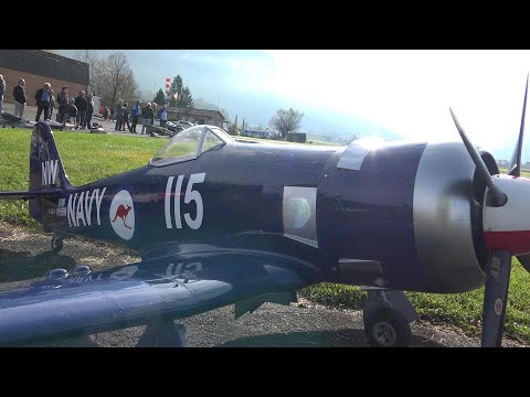 Amazing Radial Engine Hawker Sea Fury NAVY RC Scale Model Airplane Warbird