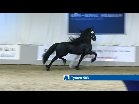 Tymen 503 wint rubriek  4