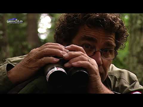 Treasure trove of diversity, nature parks in South Tyrol 2011- by geosfilm