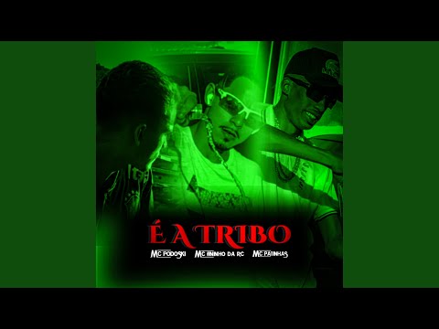 É a Tribo