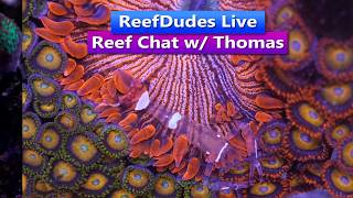 ReefDudes Live Saltwater reef Q&A - Thomas Burton