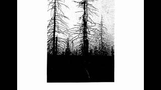 ACID：free speech/eduction pose as a suffer (1990.crust/hardcore punk japan )