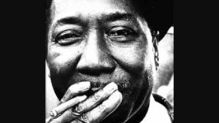 Muddy Waters - Rollin' stone (Johnny Jenkins cover)