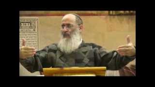 פרשת וישב | מה בין יוסף לחנוכה? (שמועות הראי"ה) – הרב אורי שרקי