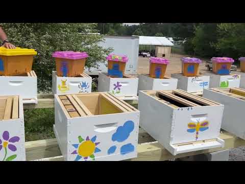 We installed 20 hives for a special customer!