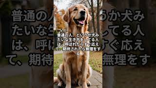「すぐお疲れになってしまうHSS型HSP×ACの女性は、猫のように生きるべき」