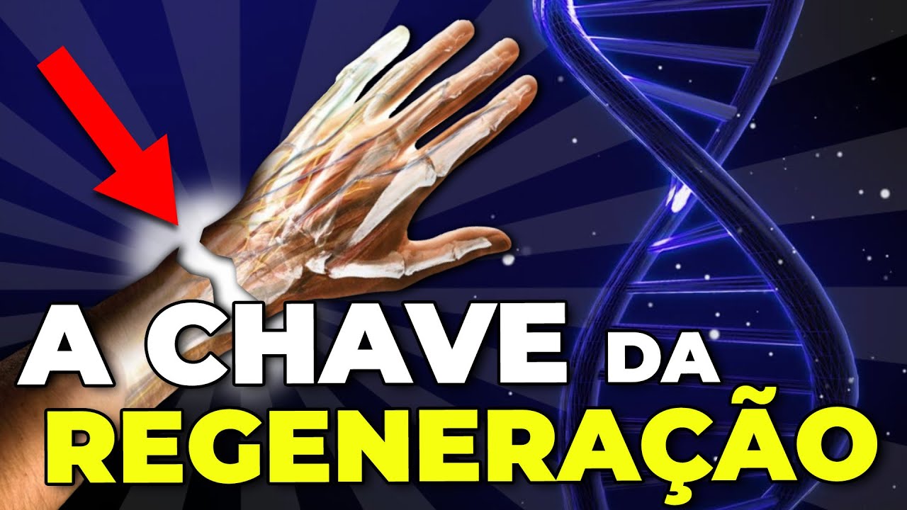 CIENTISTAS CONSEGUIRAM REGENERAR MEMBROS!