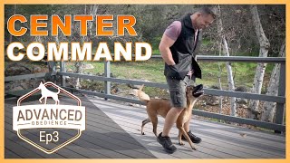 How to Teach Your Dog the Center Command!