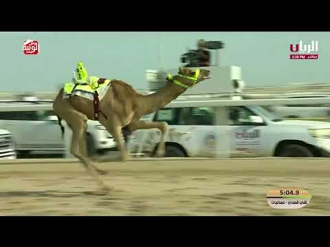 ش 4 الخنجر (العابر) سعد سعيد الرفاده المري 7:21:12 , مهرجان الأمير الوالد 2026/2/6 لقايا الشحانية