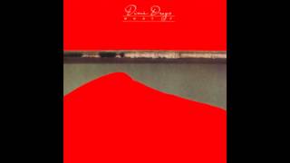 Dixie Dregs  - What If 1978 (Full Album)