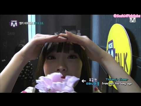 [ENG SUB] 140313 Mnet Wide SNSD Cut