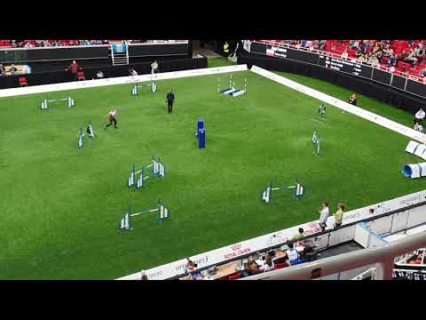 APPLAUSE Iwona Golab Large Jumping AWC 2019