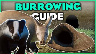Animal Burrows! All You Need To Know | Planet Zoo Europe Pack