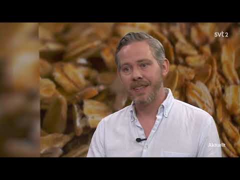 SVT Aktuellt 22/5-2023. Debatt om hunger. Lena Andersson och Eric Rosén.