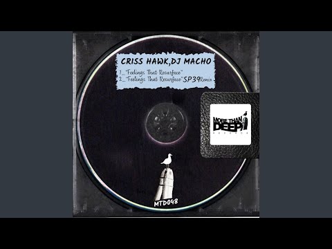 Feelings That Resurface (SP39 Remix)