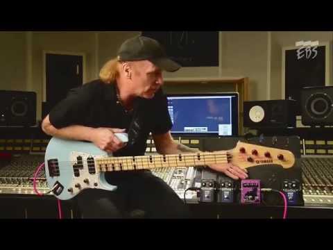 EBS Billy Sheehan Signature Drive 2015 - Purple image 4