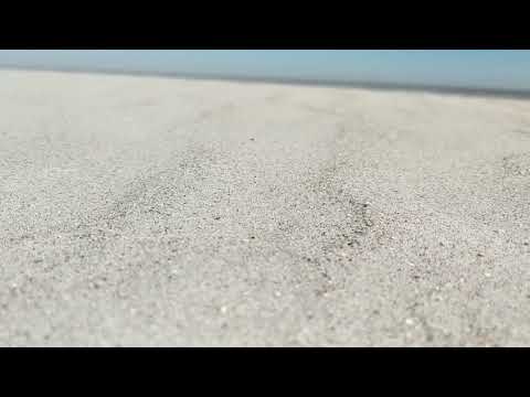 cool bits hunting island