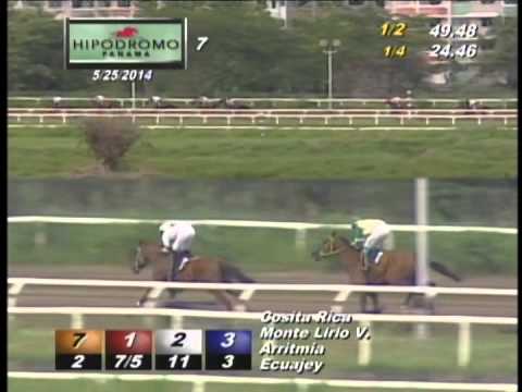 7MA CARRERA DOMINGO 25 DE MAYO DE 2014 HPR