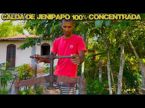 Extração artesanal de calda de Jenipapo